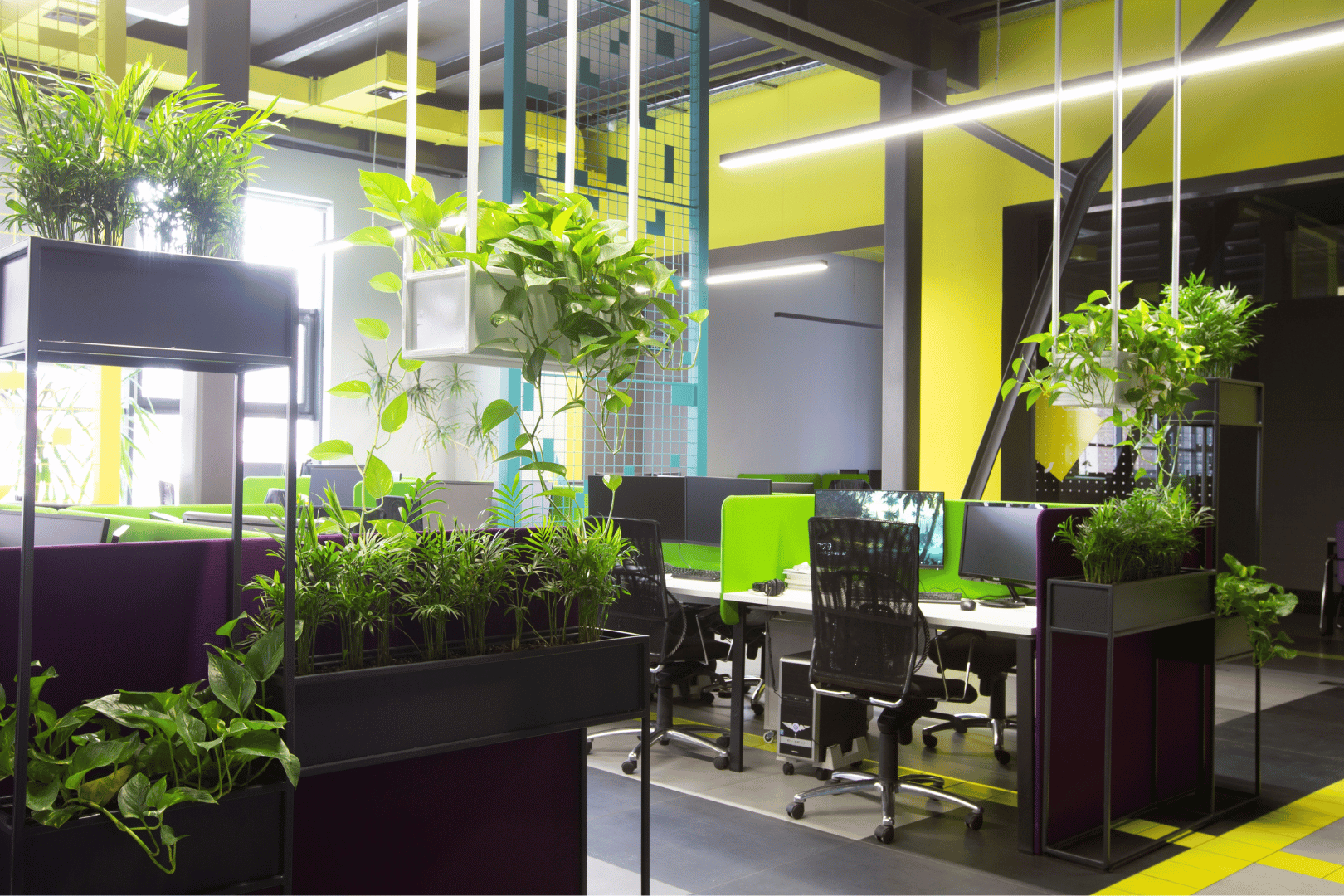 Green interior design office