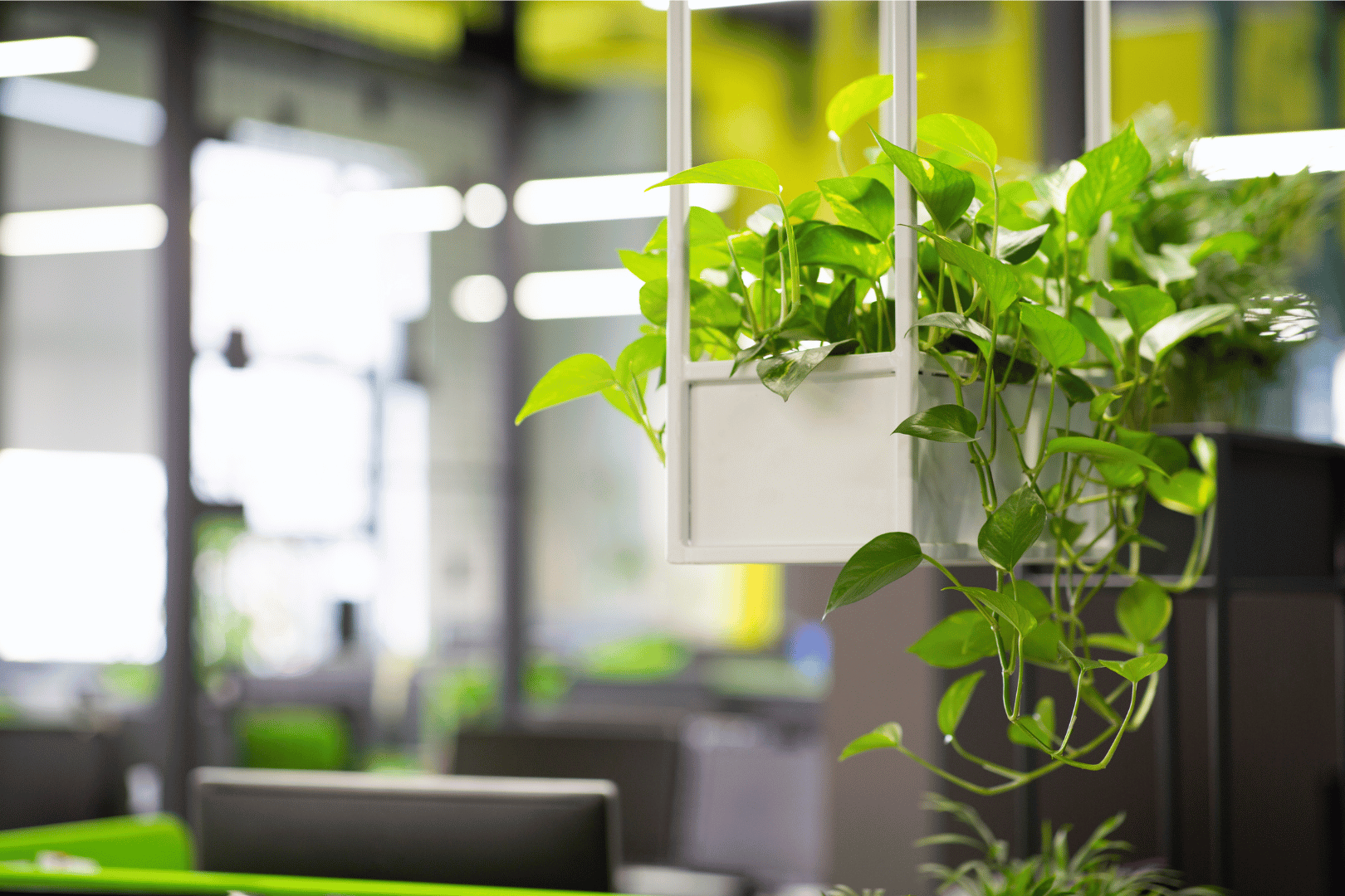 Indoor air quality